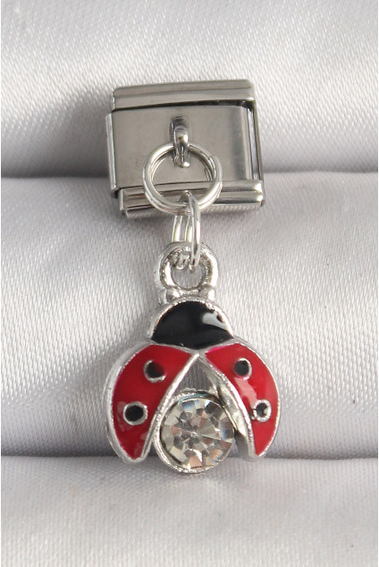 316L Çelik Gümüş Renk Zirkon Taşlı Uğur Böceği Model Nomination Charm